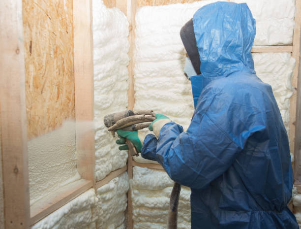 Best Insulation for New Construction  in Thompson, ND